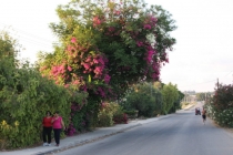 תמונות של כפר יהושע(11 תמונות)