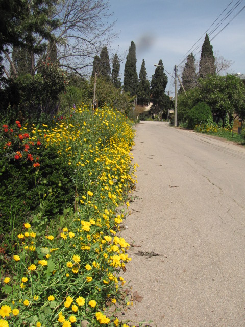 בכפר יהושע 2013 141