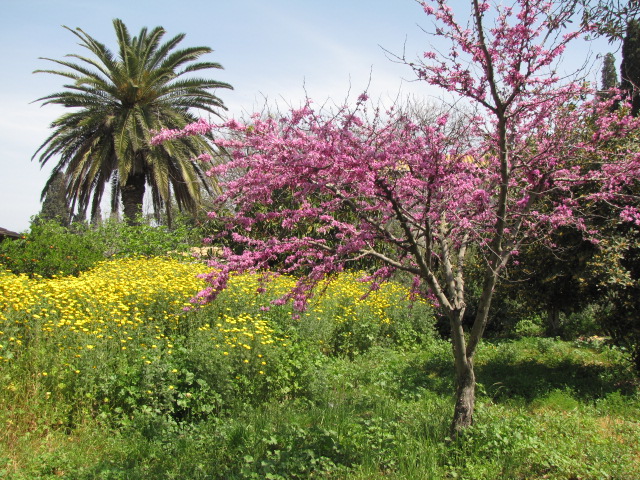 בכפר יהושע 2013 135