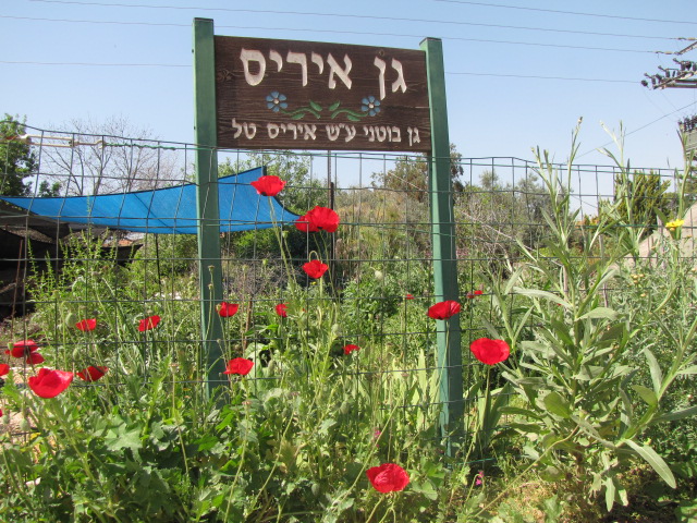 בכפר יהושע 2013 099