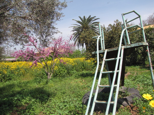 בכפר יהושע 2013 137