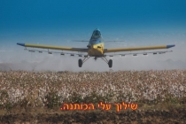 כותנה - צילם רפי יריב(20 תמונות)