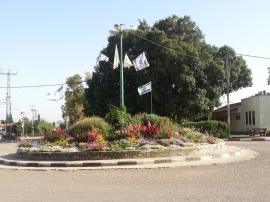 גינות בכפר מאי 2015(26 תמונות)