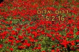 דרום אדום 2016- צילם רפי יריב(41 תמונות)