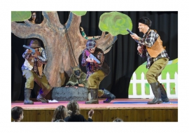 פטר והזאב 2018(201 תמונות)