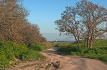 תמונות סתיו(9 תמונות)