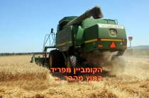 קציר חיטה- רפי יריב(20 תמונות)